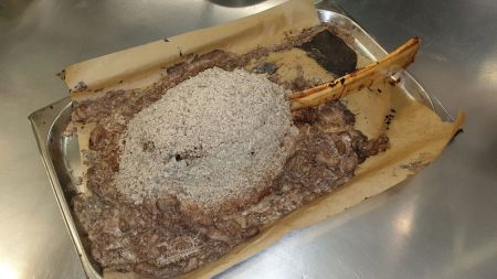 Tomahawk-Steak